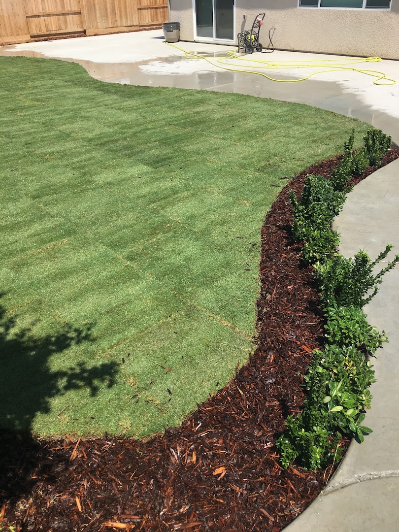 Green lawn with mulch borders, Visalia CA