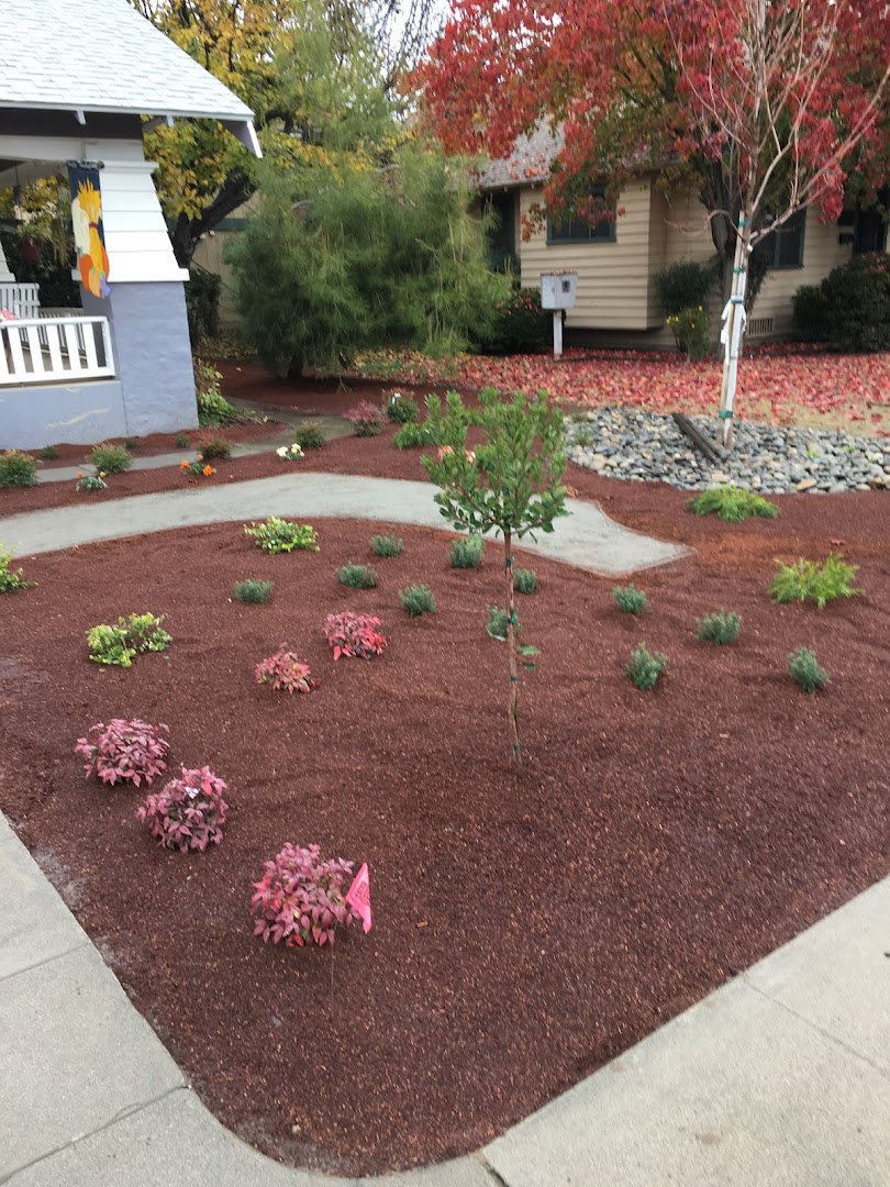 Landscape planting and color beds, Visalia CA